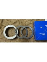CONJUNTO ANEL RESSALTO DELPHI 7189-100BM