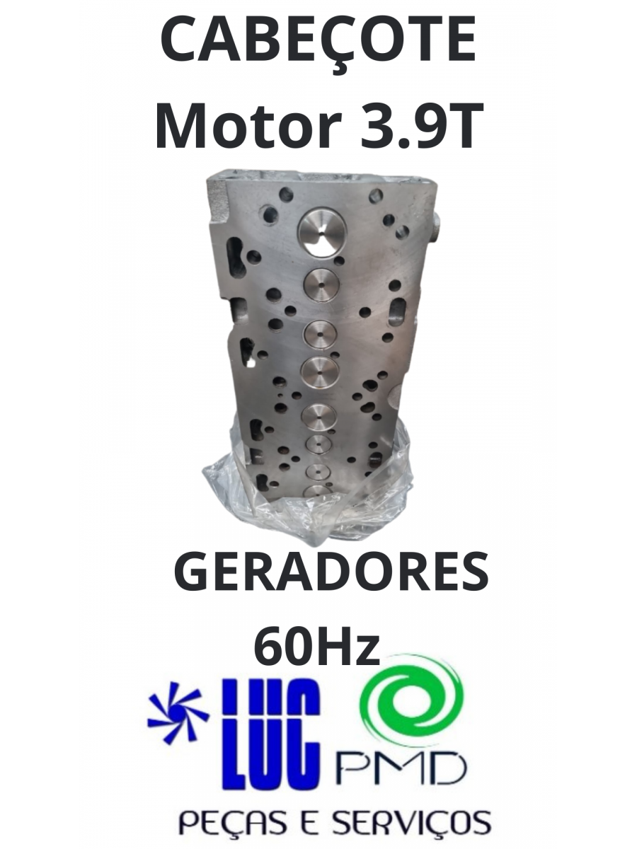 Cabeçote Motor 3.9T MWM
