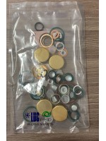 Reparo da Bomba 2 417 010 021